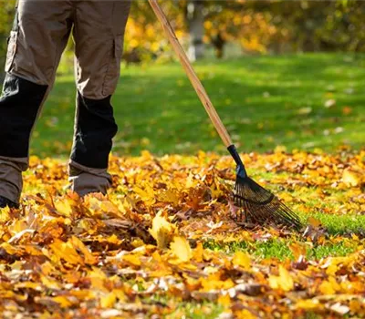 Gartenarbeit im Herbst – Das ist jetzt wichtig