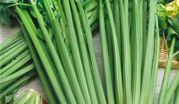 Zum Vergrößern klicken Bildvorschau