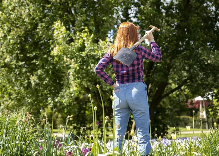 Der Gartenboden – jeder braucht mal Unterstützung Der Gartenboden – jeder braucht mal Unterstützung
