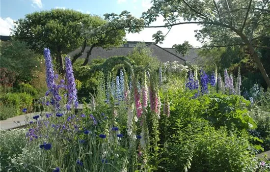 Jetzt ist es wieder soweit: Die Gartengestaltung mit Stauden